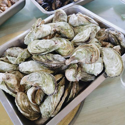 扒开腿捅app主界面展示